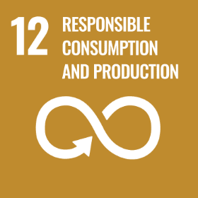 Paramount SDG goal responsible consumption and production